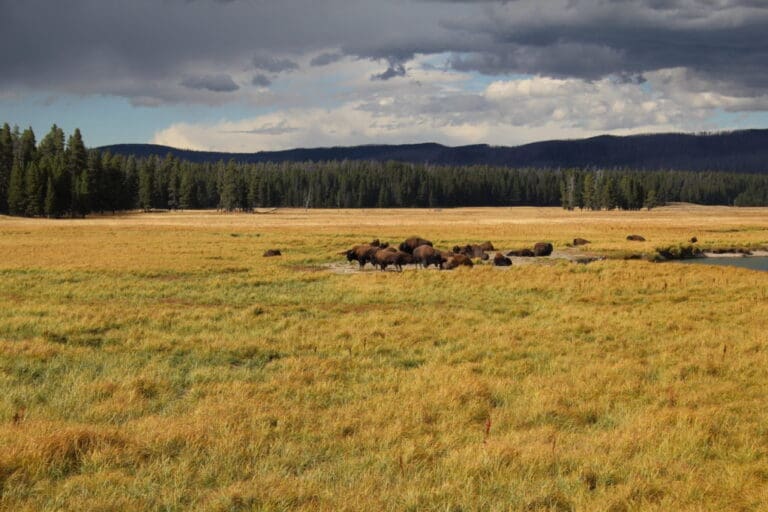 Second Rate Cities – Wyoming